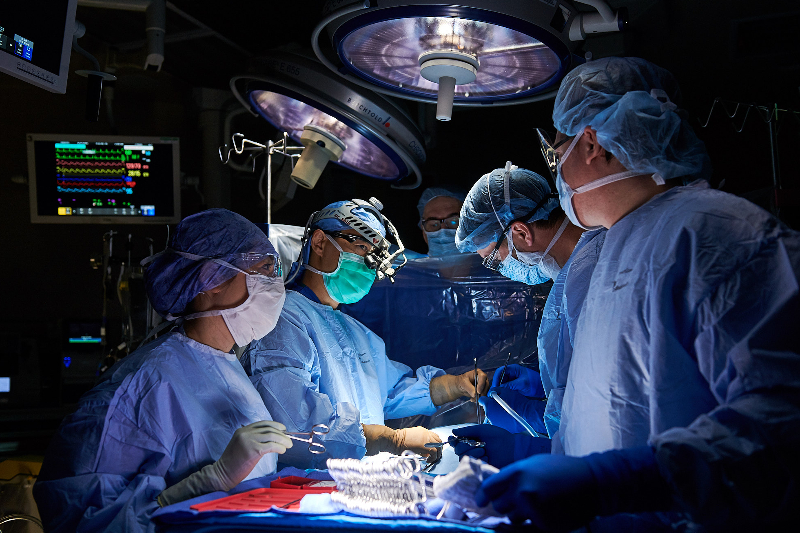 Cardiology
